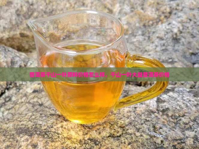 普洱茶千山一叶原料