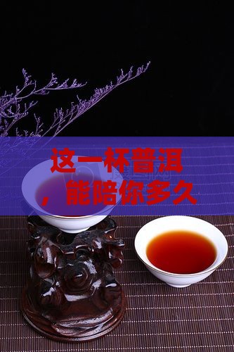 泡一杯普洱茶能喝多久