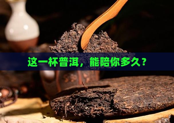泡一杯普洱茶能喝多久