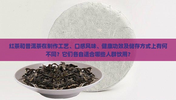 红茶对比普洱茶的区别是什么