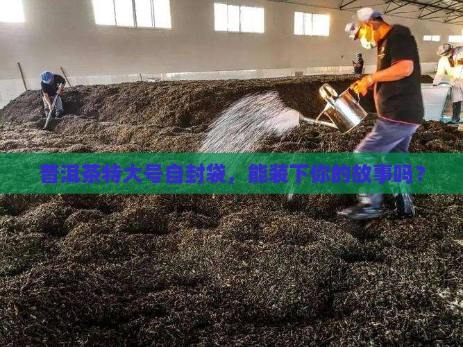 普洱茶特大号自封袋