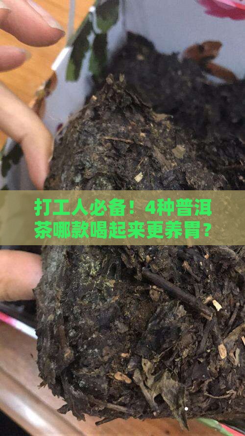 哪种普洱茶养胃好