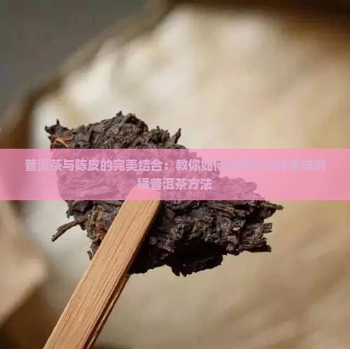 橘普洱茶怎么做