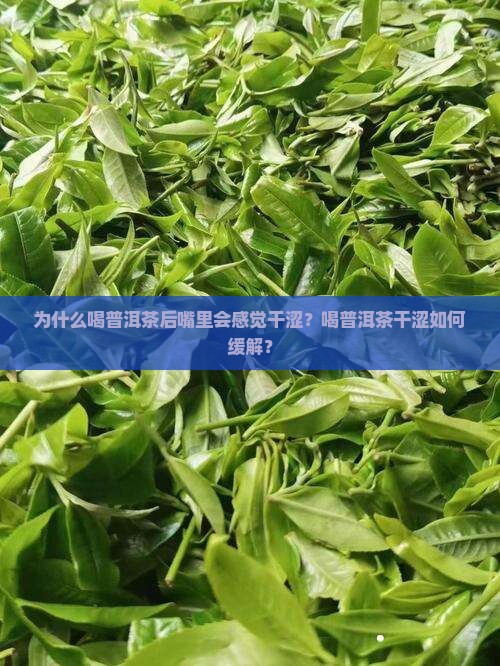 普洱茶喝完嘴里干涩怎么回事 普洱茶喝完嘴里干涩怎么回事