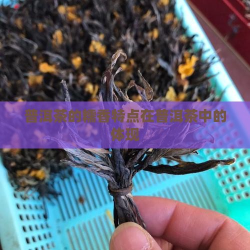普洱茶的糯香是指的什么