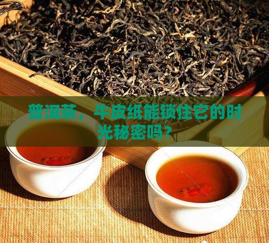 普洱茶能用牛皮纸保存吗