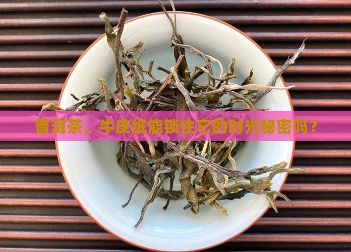 普洱茶能用牛皮纸保存吗