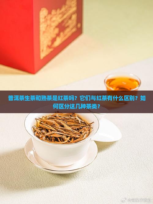 普洱茶生茶和熟茶是红茶吗 普洱茶生茶和熟茶是红茶吗