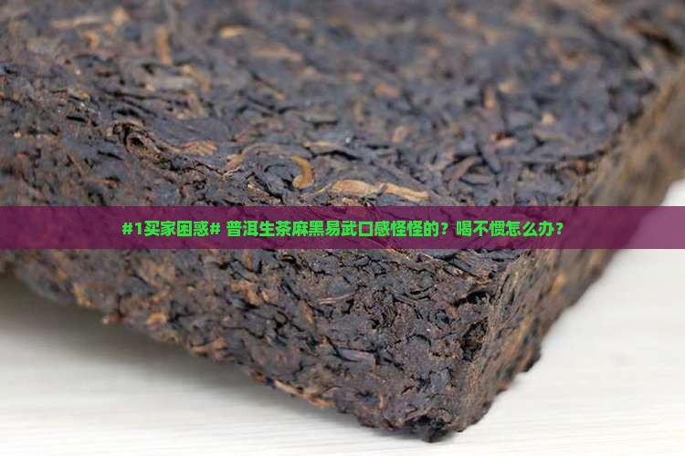普洱茶生茶麻黑易武