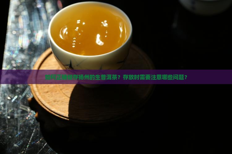 扬州生普洱茶储存