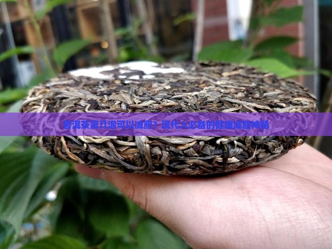 普洱茶第几泡可以减肥