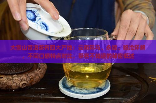 大雪山普洱茶有几个产地