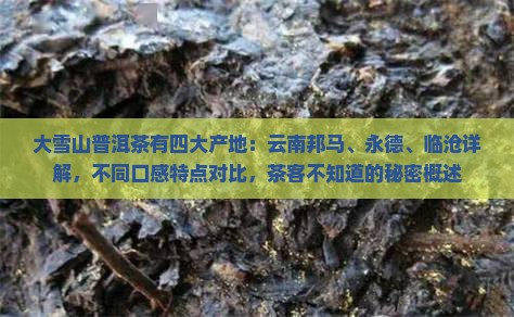大雪山普洱茶有几个产地