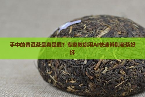 手中的普洱茶好坏