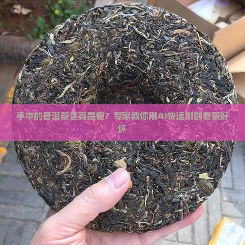 手中的普洱茶好坏