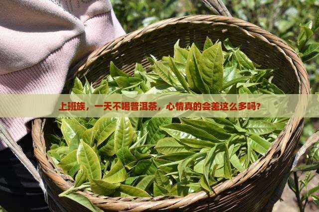 一杯普洱茶一天的好心情