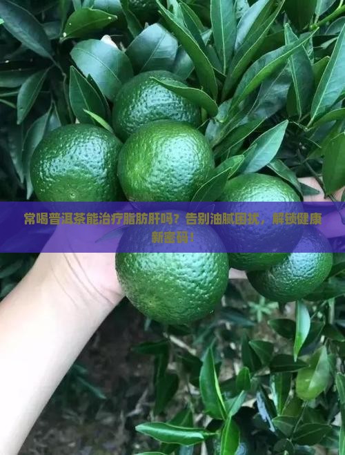 常喝普洱茶能治疗脂肪肝吗