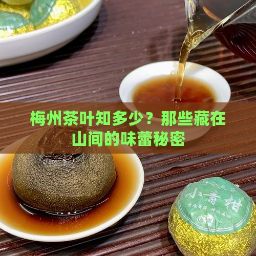 梅州的茶叶品种