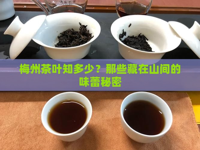 梅州的茶叶品种