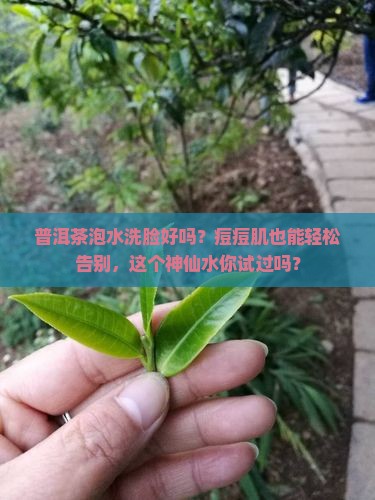 普洱茶泡水洗脸好吗 普洱茶泡水洗脸好吗