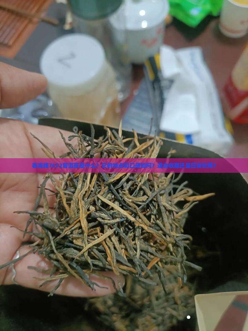 春海牌7572普洱茶