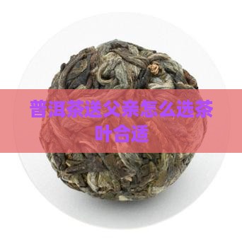 普洱茶送父亲怎么选茶叶