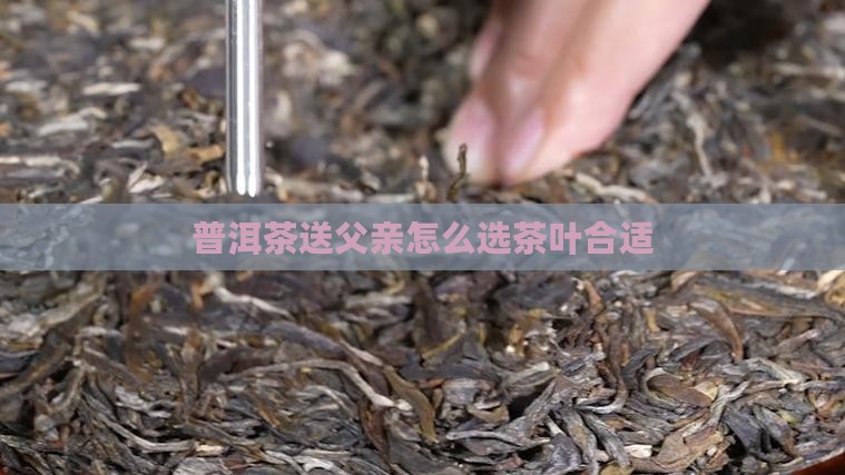 普洱茶送父亲怎么选茶叶