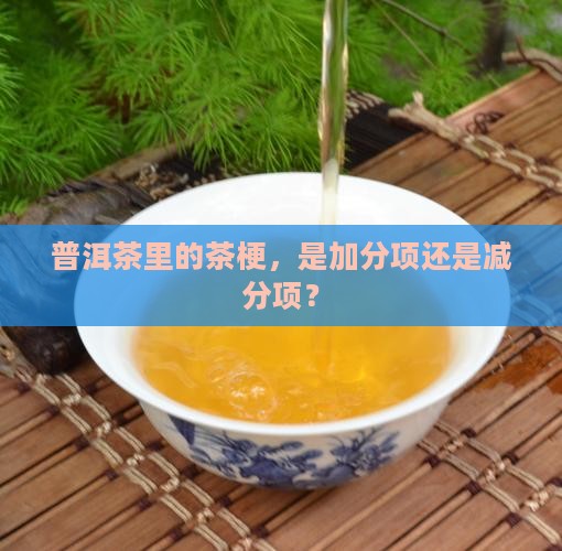 普洱茶中有茶梗是好还是不好呢 普洱茶中有茶梗是好还是不好呢