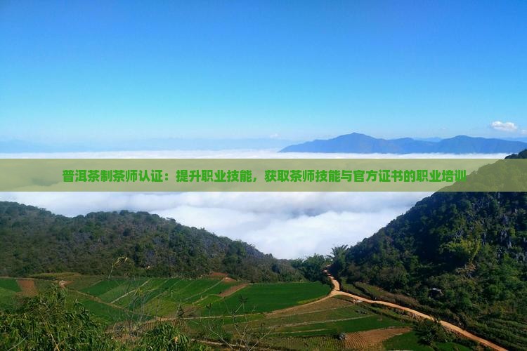 普洱茶制茶师认证