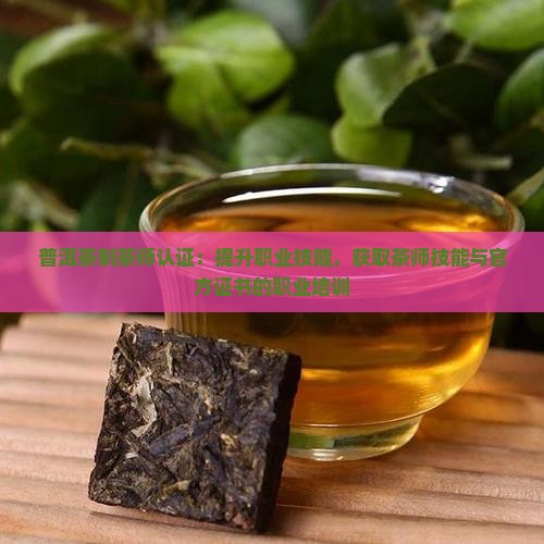 普洱茶制茶师认证