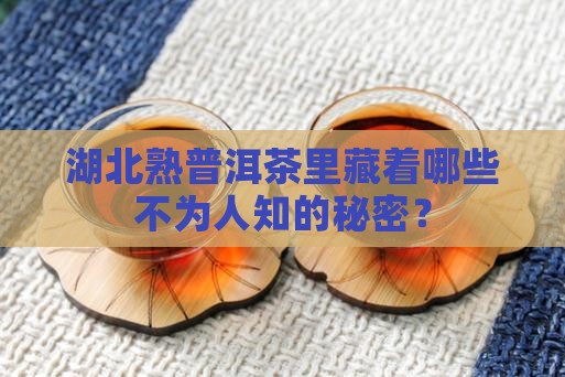 湖北熟普洱茶种类