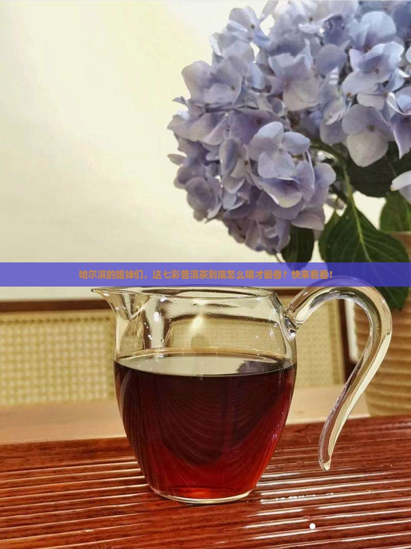 哈尔滨七彩普洱茶