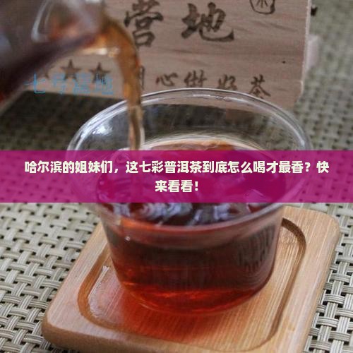 哈尔滨七彩普洱茶
