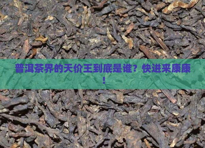 普洱茶哪款价格最高