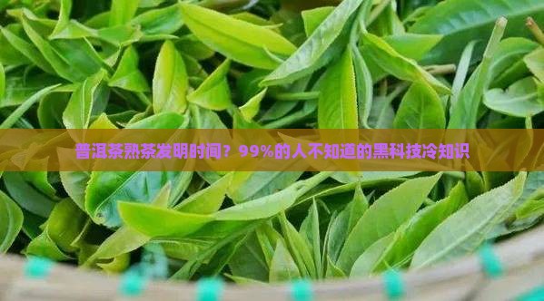 普洱茶熟茶发明时间