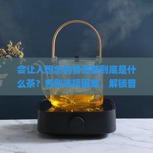 会让人想念的普洱茶是什么茶