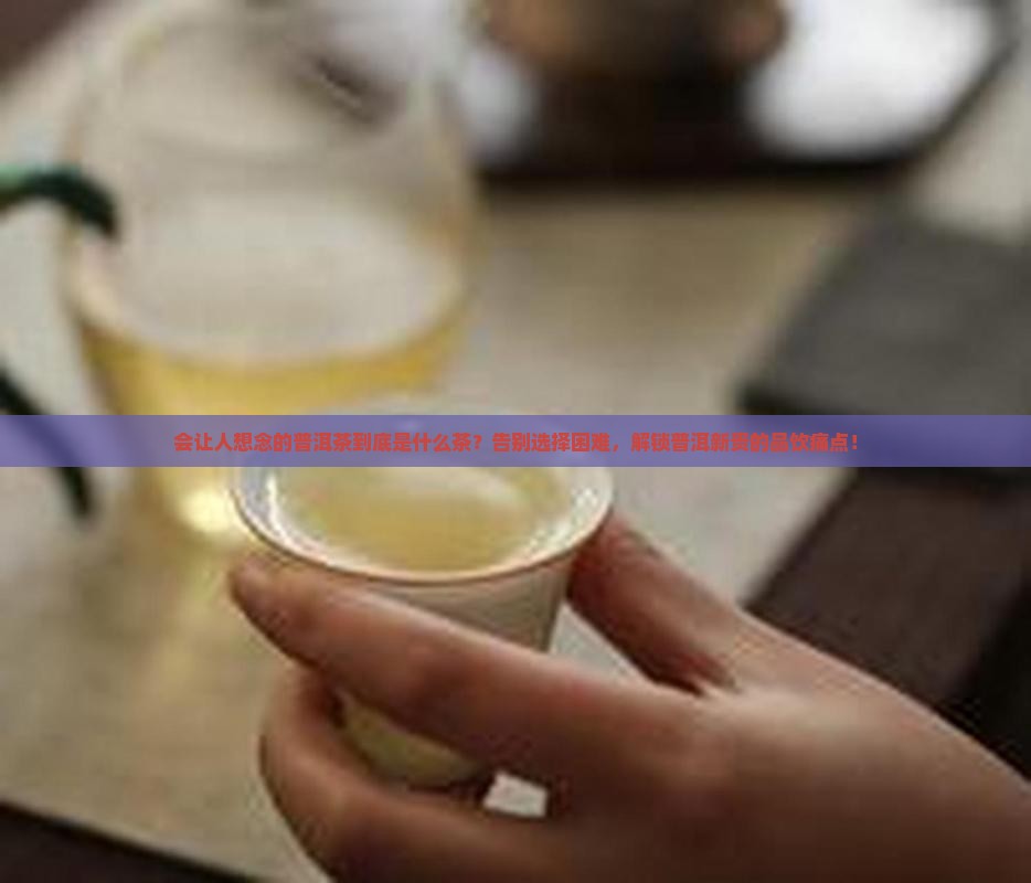 会让人想念的普洱茶是什么茶