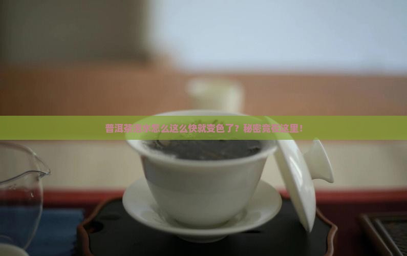 普洱茶泡水下色很快