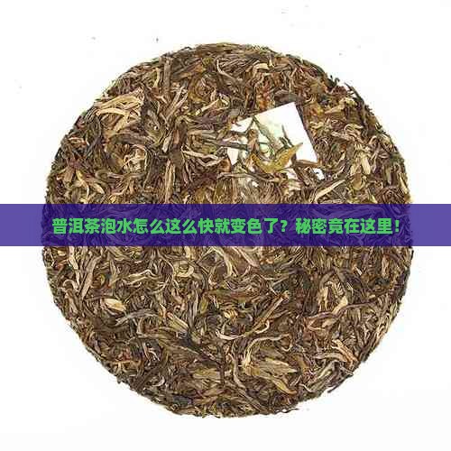 普洱茶泡水下色很快