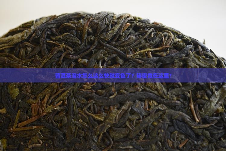 普洱茶泡水下色很快