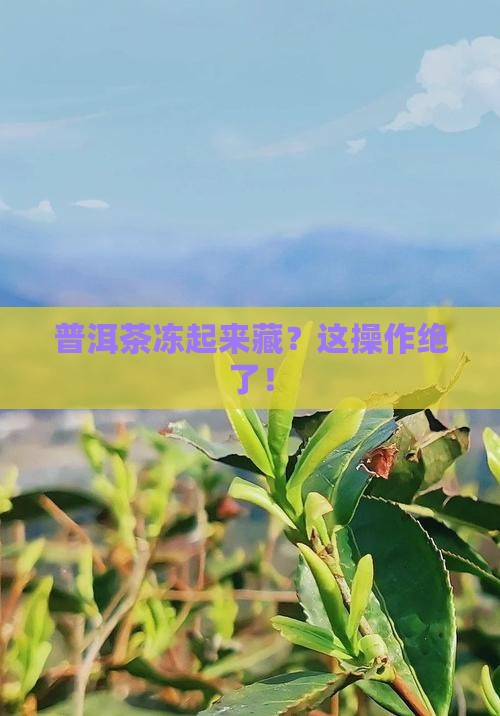 普洱茶可以藏冷冻