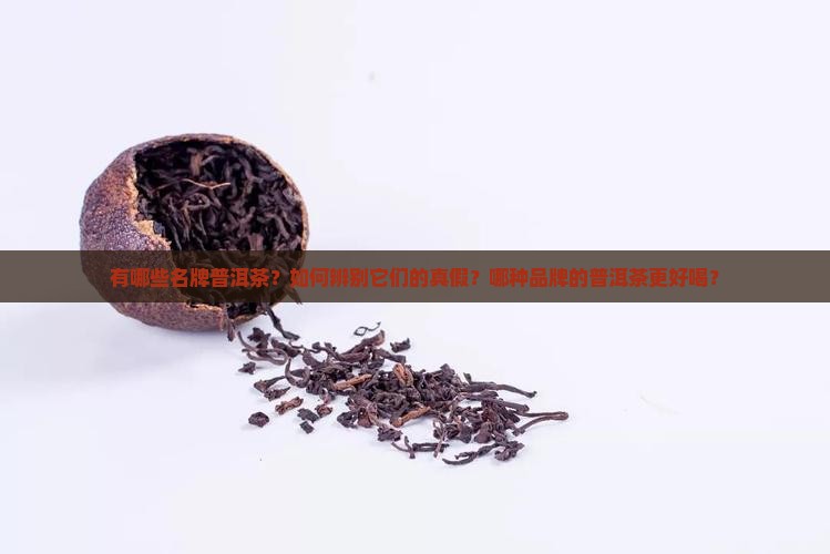 名牌普洱茶都有哪些