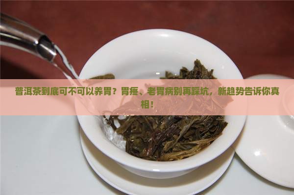普洱茶到底可不可以养胃