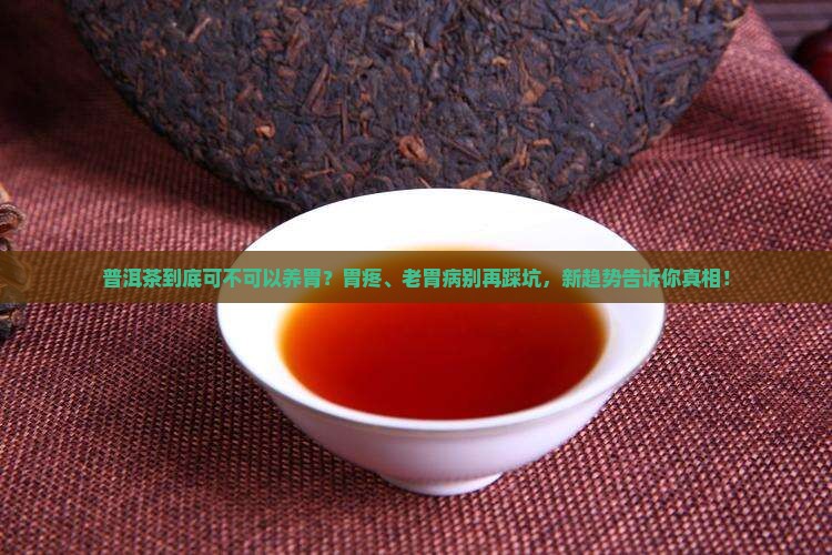 普洱茶到底可不可以养胃