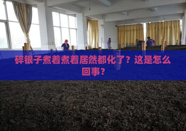 碎银子煮过后都烂了
