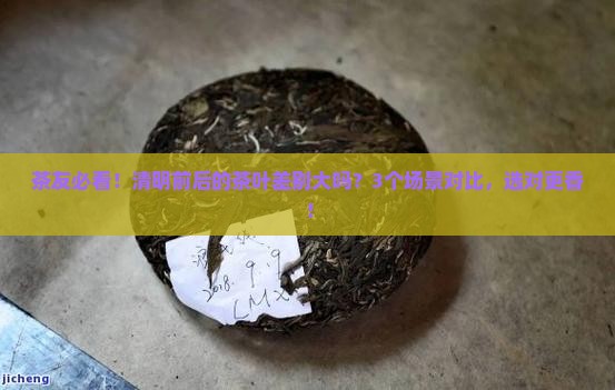 清明前茶叶和清明后茶叶