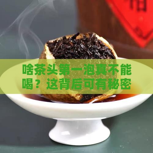 什么茶头泡不能喝