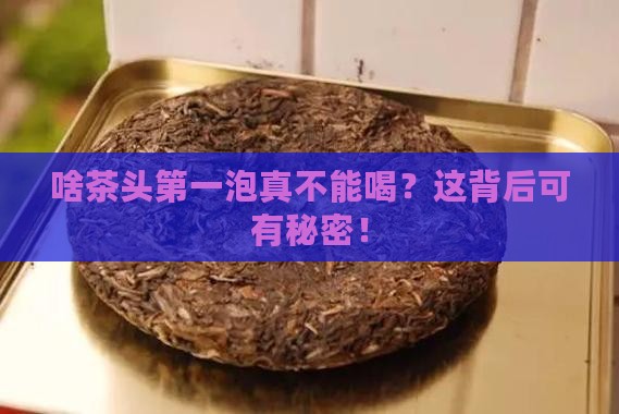 什么茶头泡不能喝