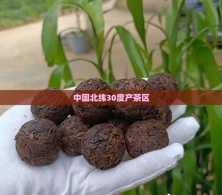 中国北纬30度产茶区