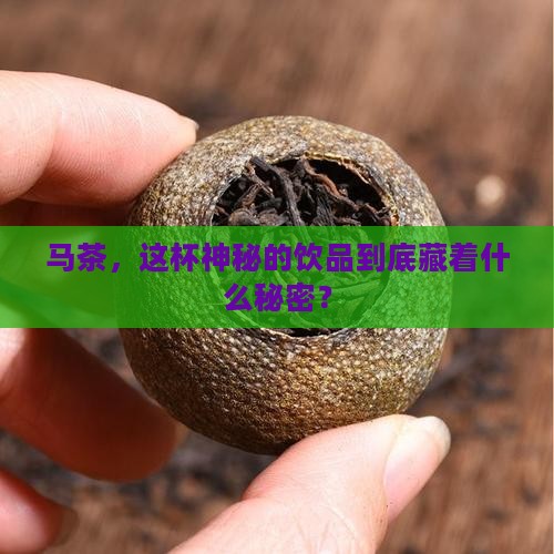 马茶属于什么茶